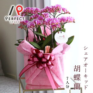 �Ӓ��� �� �v���[���g �M�t�g ���j�� �C���e���A �}�C�N�� �z���C�g�E���C�g�s���N�E�r�r�b�g�s���N�E�C�G���[�E�~�b�N�X �~�f�B�Ӓ���7�{����(7��) �V�F�A�I�[�L�b�h�Ӓ���7�l���y�ŒZ�E