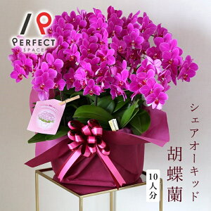 y28ԌSi|Cg10{ 12/4 20:00`zӒ  v[g Mtg j CeA }CN zCgECgsNErrbgsNECG[E~bNX ~fBӒ10{(10