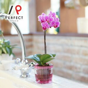 Ӓ  v[g Mtg j CeA }CN sNn }CNӒ1{ANA|bgӒyoׁz