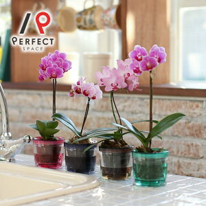 Ӓ  v[g Mtg j CeA }CN sNn }CNӒ1{ Lb`Zbgyoׁz