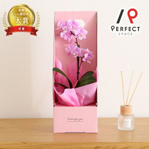 ōi Ӓ  v[g Mtg t j lC CeA }CN sNn }CN Ӓ1{ 1{ }CNӒ 2WAY {bNX sN