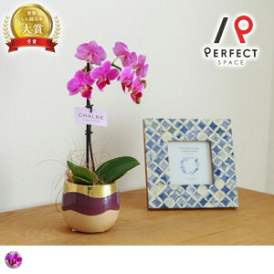 yŒZoׁz yz Ӓ Ӓ1{ Vl Mtg j JX i j җ h]  N v[g  Ŗm R`E sN ~jӒ 