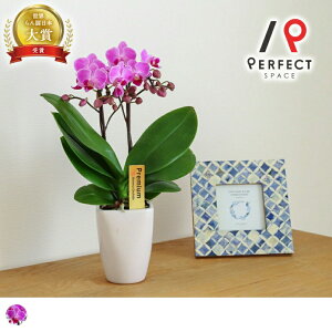 yŒZoׁz yz Ӓ Ӓ2{ 3 t Mtg j JX i j җ h]  N Ŗm R`E sN ~jӒ    