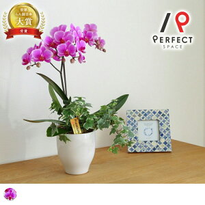 yŒZoׁz yz Ӓ Ӓ1{ t Mtg j JX i j җ h]  N v[g  Ŗm R`E sN ~jӒ  