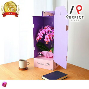 yŒZoׁzyz~fBӒhXBOX3{Mtg j JX i j җ h]  N v[g  Ŗm R`E sN ~jӒ 