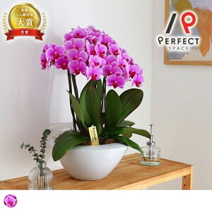 yXSi|CgAbvJÒzyŒZoׁz yz Ӓ Ӓ5{  t Mtg j JX i j җ h]  N Ŗm R`E 