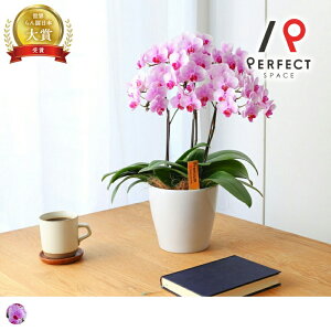 yŒZoׁz yz Ӓ Ӓ3{ 5 t Mtg JX i j җ h]  N Ŗm R`E WsN ~jӒ   