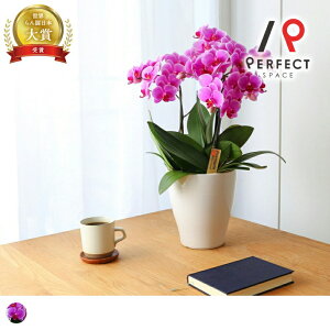 yŒZoׁz yz Ӓ Ӓ3{ 5 t Mtg JX i j җ h]  N Ŗm R`E sN TCY   