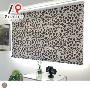 遮光ロールスクリーン 韓国インテリア おしゃれ アート 個性的 ドレープ モダン ユニセックス メンズ 2級遮光 遮熱 洗濯可 無機質 カフェ風 白 黒 オーダーロールスクリーン 間仕切り