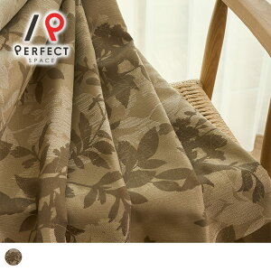 yAEgbgztƂ炷WK[hD̃[tJ[e Reg uE