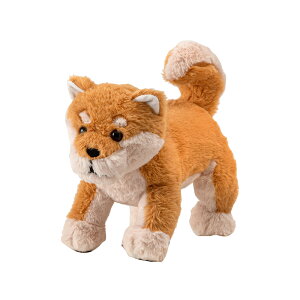 xr[ ʂ Aj} 葫 CeA  Mtg