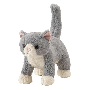 xr[ ʂ Aj} 葫 CeA  Mtg