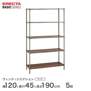 X`[bN GN^[ bN x[VbN Be[W EbhVFt 120xs45x190cm 5i Vo[ ERECTA  B1848VWRS74PVS5