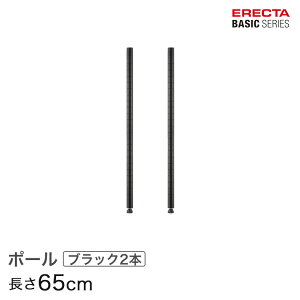X`[bN J[bN [ [I Ɩp GN^[ bN x[VbNV[Y |[ ubN 2{ 65cm ERECTA p[c  B26PB2
