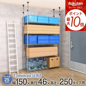 X[p[SALEP10{ ˂ bN X`[bN ˂I  ]|h~ nk΍ V X ~iX ^bN  25mm 150 s46 250 5i 157×s51×