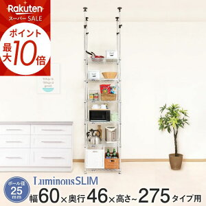 X[p[SALEP10{ ˂ bN X`[bN ˂I  ]|h~ nk΍ V X ~iX ^bN  25mm 60 s50 275 6i 66×s51×2