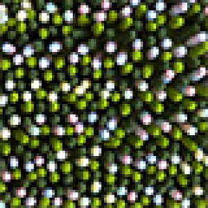 yzoX}bg ӂ}bg 􂦂 I[V[Y }CNt@Co[  R z  Jt ӂ ӂӂ u[ O[ sN 60cm×40cm