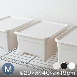 t^tvX`bN[{bNX [ ߗގ[ iMj@30×40×19cm 1 ŒZo BOX-KUP0013