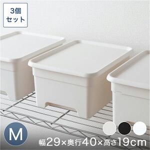 t^tvX`bN[{bNX [ ߗގ[ iMj@30×40×19cm 3Zbg ŒZo BOX-KUP0013ST3