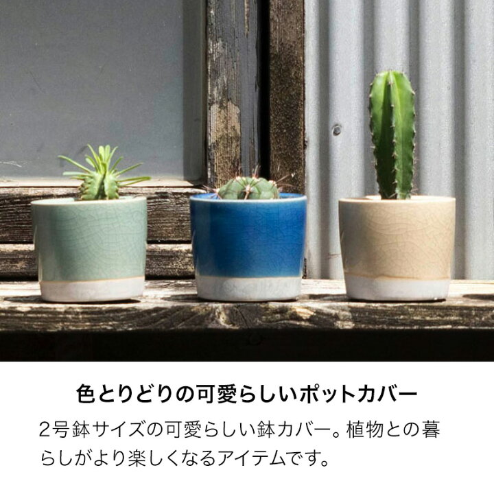楽天市場】※ターコイズ・ミッドナイトブルー廃番※DULTON ダルトン 