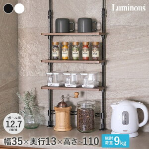 _P10{^ bN XpCXbN  X`[bN  RpNg X ȂXy[X Lb` VN ~iX luminous ˂ 35 s13 74`110cm 3i CM35TP-3