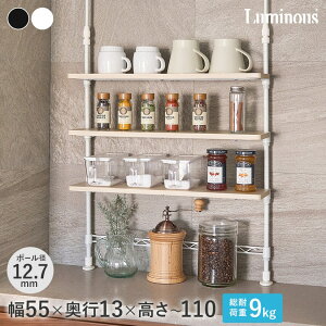 _P10{^ bN XpCXbN  X`[bN  RpNg X ȂXy[X Lb` VN ~iX luminous ˂ 35 s13 74`110cm 3i CM35TP-3