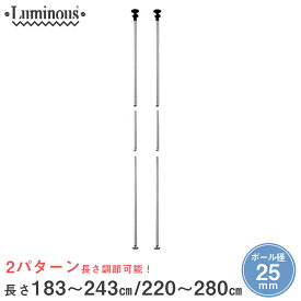 スチールラック ルミナス ラック 送料無料 [25mm] 突っ張り ポール 高さ280 2本セット パーツ 長さ220～280cm 25P-2228