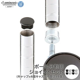 スチールラック ルミナス ラック [25mm] ジョイントセット キャップ付 4個 パーツ ポール分割用セット AJ-25R