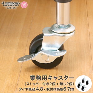 �X�`�[�����b�N ���~�i�X ���b�N [19mm] �S���L���X�^�[ 4�� ���a��4.7×����6.7cm �p�[�c ���a��4.7×����6.7cm CT-GN50-GL50 ���^�������b�N ��� �L�b�`�����b�N �A���~���b�N �V���o�[���b�N ���[���b