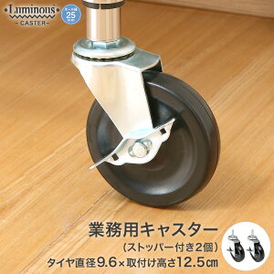 _P10{^ X`[bN ~iX bN [25mm] SLX^[ [ I ^ Ɩp ԗ ړ  p[c 12.5cm Xgbp[t 2 p[c 12.5cm IHL-GCL50