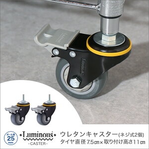 _P10{Ԓ^ \̔(12{oח\) [25mm] ~iX lWE^LX^[ 2Zbg Xgbp[t p[c ƖpLX^[ L75US-GYN2