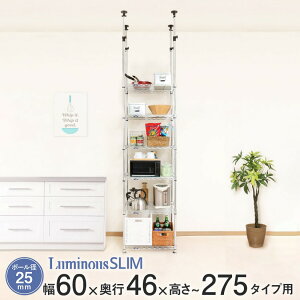 _P10{Ԓ^ ˂ bN X`[bN ˂I  ]|h~ nk΍ V X ~iX ^bN  25mm 60 s50 275 6i 66×s51×222?249cm 