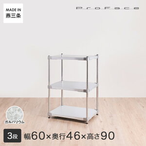 _P5{Ԓ^PROFACE vtFCX KoE ϔM hK h Ɩp t[bN 60 s46 90 3i (61.5×s46.3×90.5cm) GGS3-46609