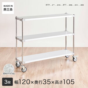 PROFACE vtFCX KoE ϔM hK h Ɩp S Ԏ[ ȃXy[X LX^[t ړ 120 s35 55 3i (121.7×s36.2×55.5cm) GSW3-351209