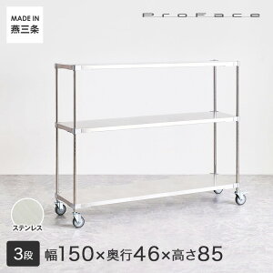 y󒍐YzPROFACE vtFCX SUS304XeX XeXbN q a@  { S Ԏ[ ȃXy[X LX^[t ړ 150 s46 85 3i (152.3×s46.3×87.3cm