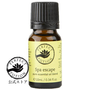 yzXp GXP[v GbZVIC uh 10mL/VR GbZVIC uhIC A}IC I[KjbN I[XgA p[tFNg|[V Perfect Poti