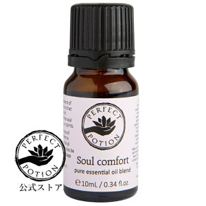 yz\ERtH[g GbZVIC uh 10mL/VR GbZVIC uhIC A}IC I[KjbN I[XgA p[tFNg|[V Perfect