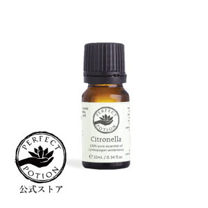 yzVgl 10mL /  VO I[KjbN A} A}IC GbZVIC I[XgA AEghA p[tFNg|[V Perfect Potion