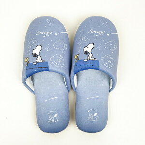 Xk[s[  Xbp SNOOPY