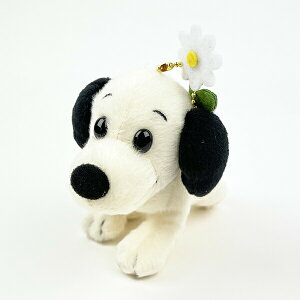 Xk[s[ t@[XgXk[s[ L[`F[}XRbg ʂ SNOOPY