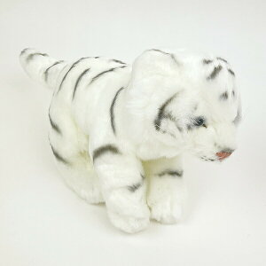 ʂ ChAj}Y zCg^CK[ S l` CeA LbY Mtg