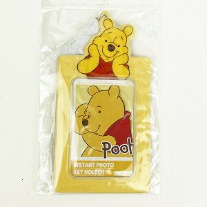 fBYj[ ܂̃v[ pXP[X L[z_[ Disney