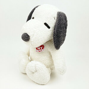 Xk[s[ n[IMY Xk[s[ ʂ (L) 