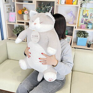 ˂m芴 ͂̂ BIGʂ Ԃ͂ 