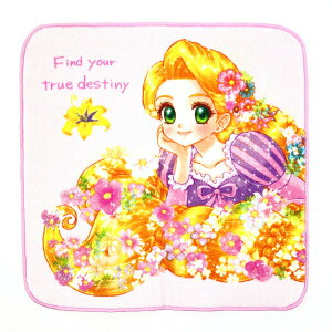 �f�B�Y�j�[ �V���C�j���O���v���c�F�� �n���h�^�I�� �n���J�` Disney