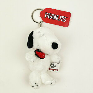 �X�k�[�s�[ �C�`�S �v�`�ӂ�}�X�R�b�g �ʂ������