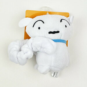 N񂿂 V 傱񂮂݃VV ʂ