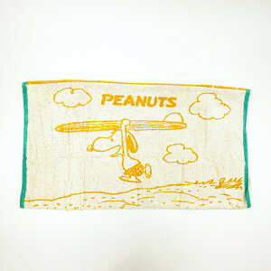 Xk[s[ ̂т̂уs[P[X Surf IW Jo[ Q pCn SNOOPY