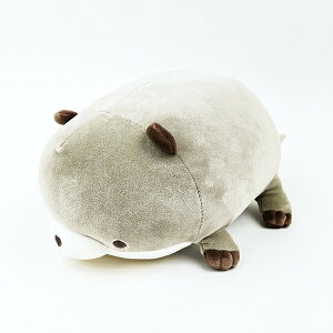 }V}ANA~G JE\ N[{X^[ ʂ Ԃ͂