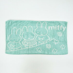 ~btB[ miffy ̂т̂у^Is[P[X (O[) 